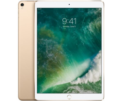 iPad Pro 10.5″ 2017 Wifi 64G – New